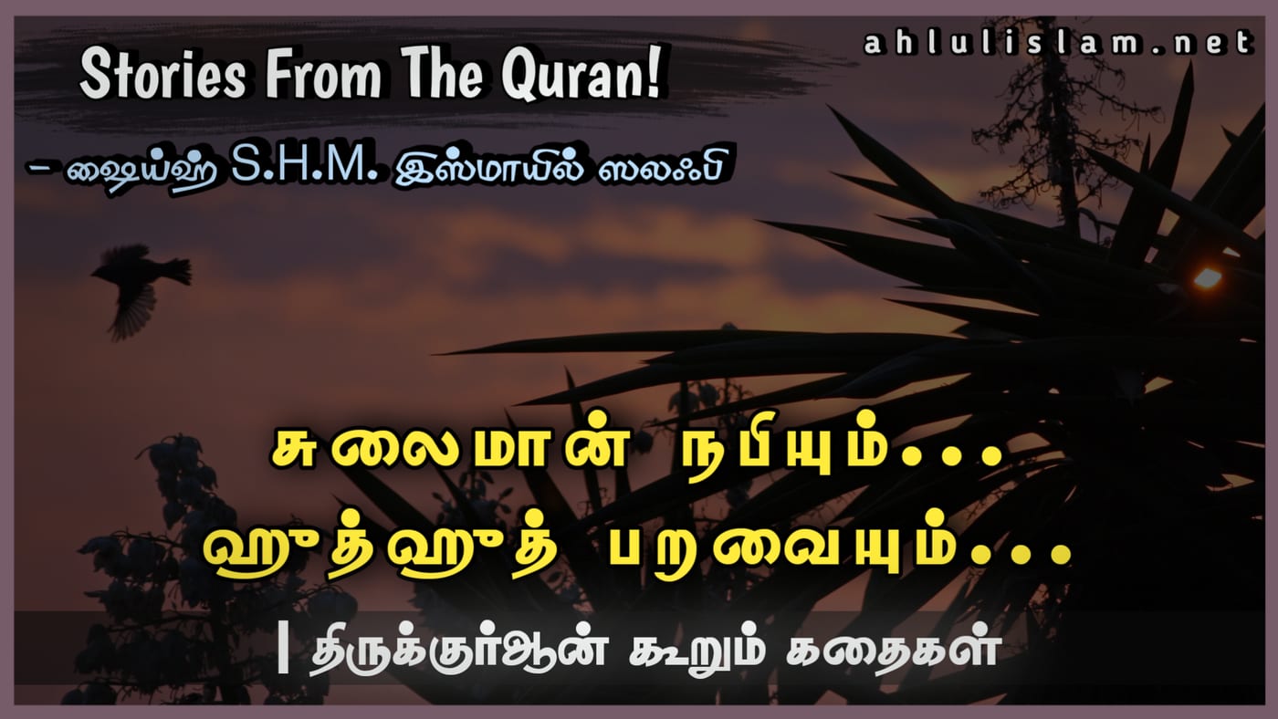 சுலைமான் நபியும்...  ஹுத்ஹுத் பறவையும்...